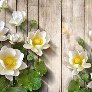 Lotus Flower with leaf on Wood Background