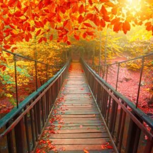 Natural Mural 013 - For Interior