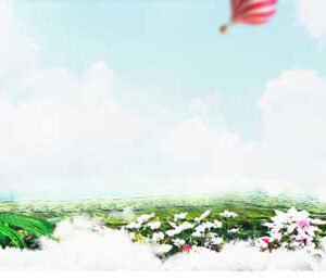 Natural Mural 033 - For Interior