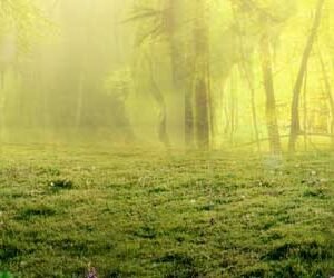 Natural Mural 038 - Printable File