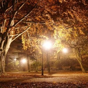 Decor Natural 054 - Printable File