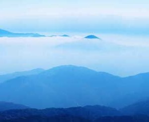 Premium Natural 062 - Printable File