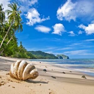 Natural Design 065 - For Interior