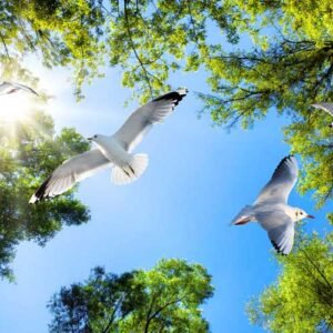 Rooftop Wall Art 152 - For Interior