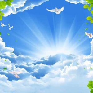 Decor Rooftop 155 - High Quality