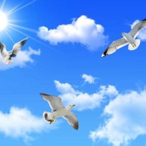 Rooftop Wall Art 157 - Printable File