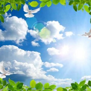 Rooftop Wall Art 167 - High Quality