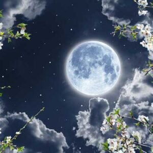 Decor Rooftop 040 - For Interior