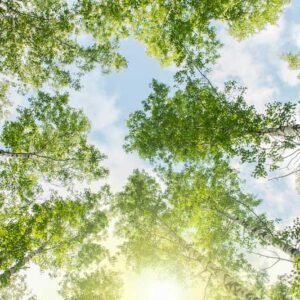 Rooftop Wall Art 072 - For Interior