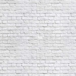 Wall & Rock Mural 035 - For Interior