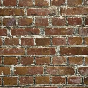 Wall & Rock Mural 085