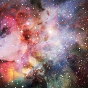 Decor Wall 292 - High Quality