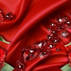 Premium Wall 560 - High Quality