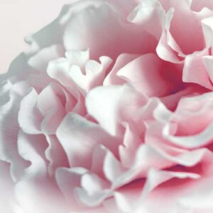 Wall Design 793 - For Interior