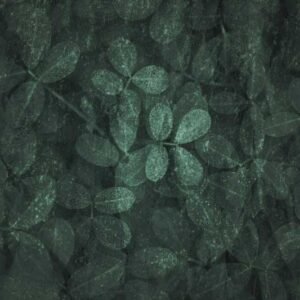 Wall Design 888 - High Quality